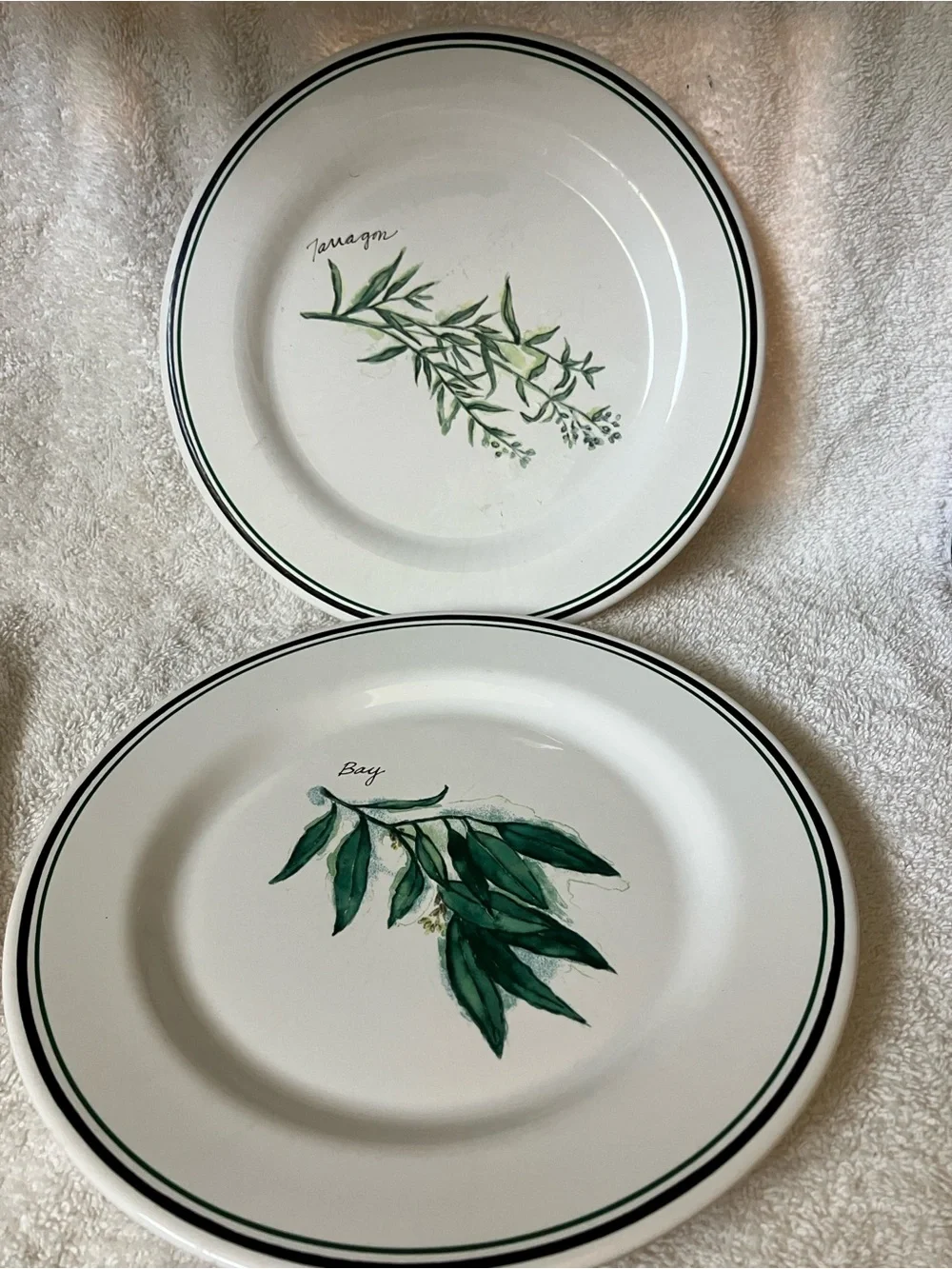 2 Williams Sonoma White Salad Plates with Green Herbs Bay and Taragon